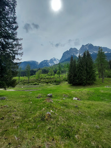Märchenhafter Wald - Thumbnail