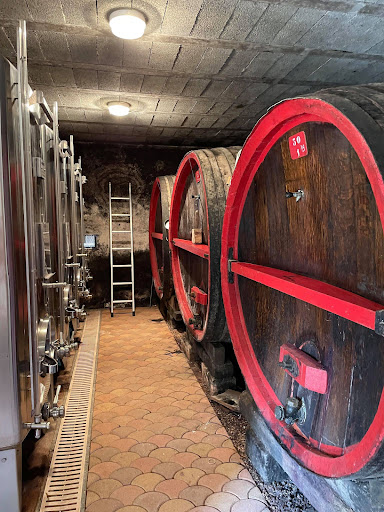 Photo de Domaine Chante Vigne - Carole Tanasescu à Régnié-Durette (69430)