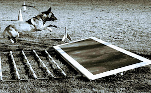 Photo n°3 de Domaine de Poumecoste à Cadours (Magasin d'articles pour animaux)