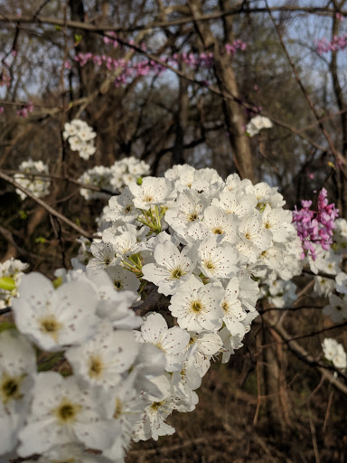 Bear Creek Trail - Thumbnail