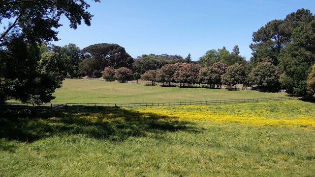 Museu Serralves