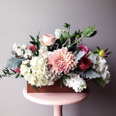 Blooms and Bouquets