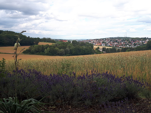 Grundweg - Visual