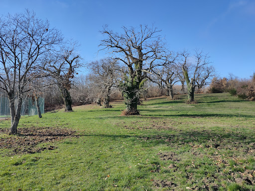 Parco dei Castagneti - Thumbnail