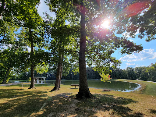 Binkley Woods and Spector Lake - Thumbnail