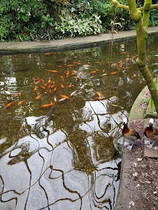 Roath Park Conservatory cardiff