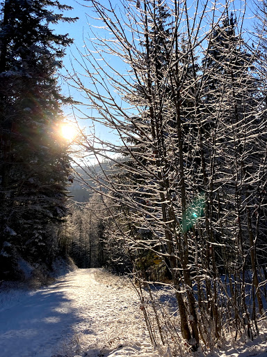 Klamm Alm - Visual
