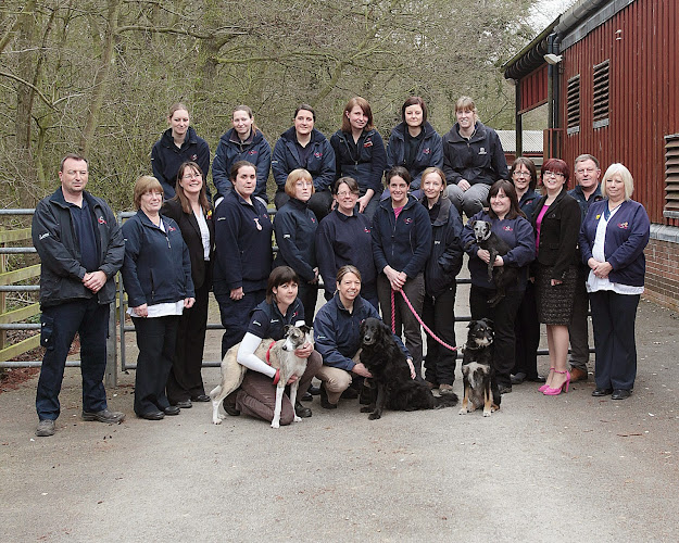 Scarsdale Equine Vets Markeaton