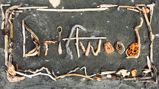 Driftwood Vet