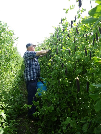 Boerderijwinkel van der Heijden groente en fruit, asperges, aardbeien, groente en fruit