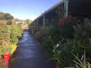 Photo n°29 de GAMM VERT à Lunel (Pépinière)