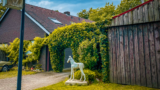 Dr. Doris Kleffken-Wiederhold Theodor-Storm-Weg 20, 48268 Greven, Deutschland