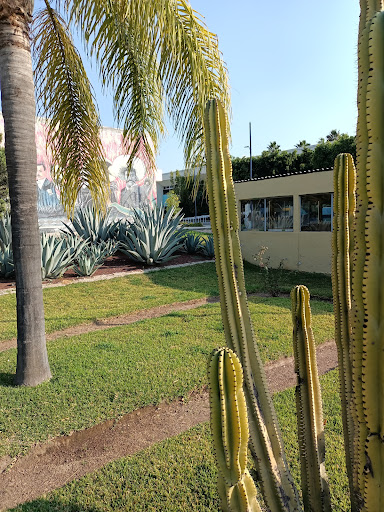 Universidad Técnologica del Suroeste de Guanajuato - Thumbnail