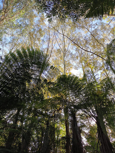 Te Anau Park - Thumbnail