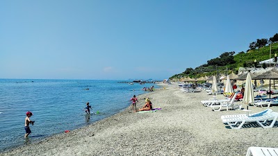 Photos of Kallmi Bukur