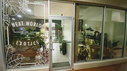 Next World Exotics - Visual