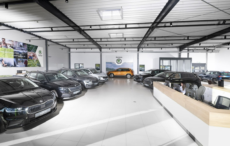 Scherer Automobil GmbH & Co. KG Skoda Auto