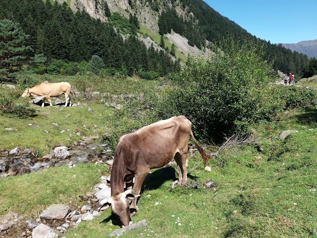 Cauterets