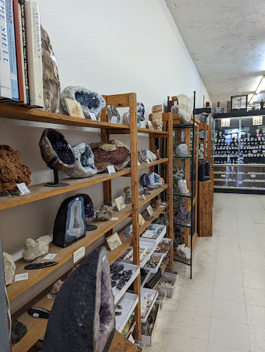 Nature's Gallery - Visual