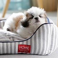 ペッツワン佐久平店