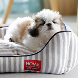 ペッツワン佐久平店