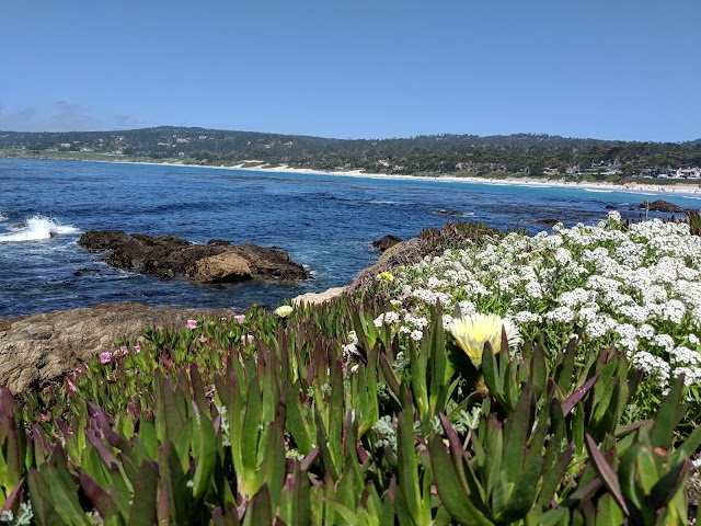 Clinton Walker House - Frank Lloyd Wright