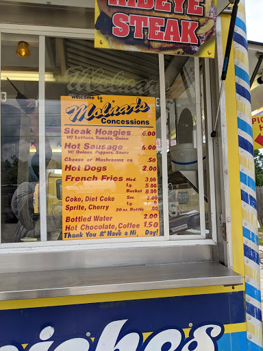 Molnar's Concessions - Visual