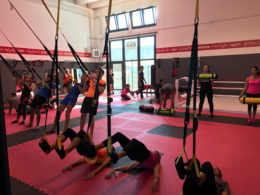 Palestra Europ Center F.M.A. - Thumbnail