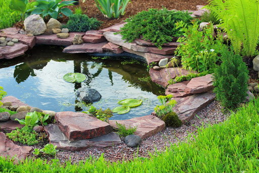 Aquatic Systems Consultants - Thumbnail