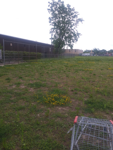 Wedo Park - Thumbnail