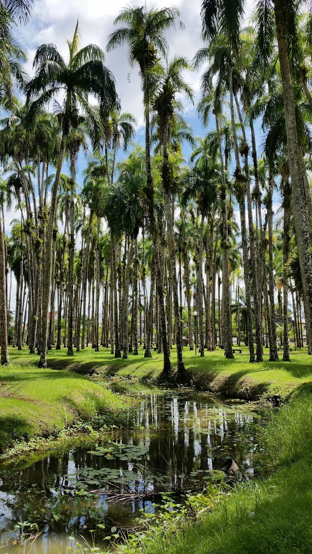 Palmtree Garden