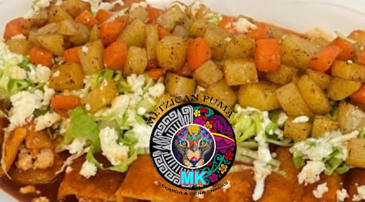 METZICAN PUMA comida - Thumbnail