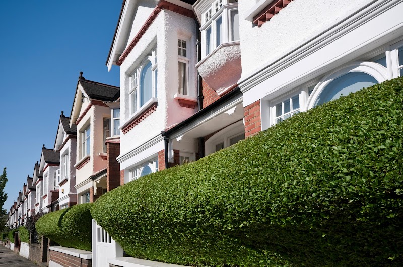 M S Properties photo 2