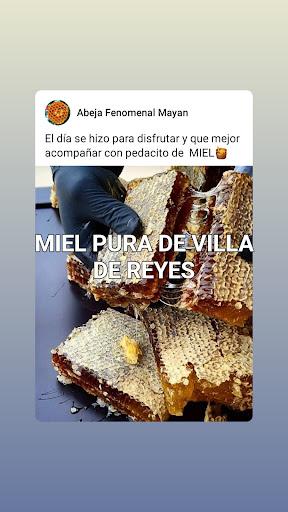 MIEL PURA DE ABEJA - Thumbnail