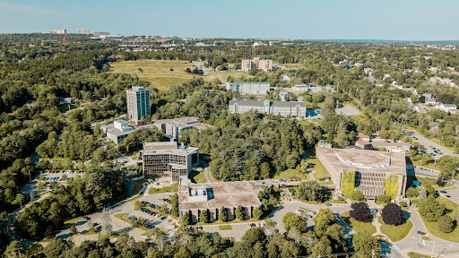 MSVU Library - Visual