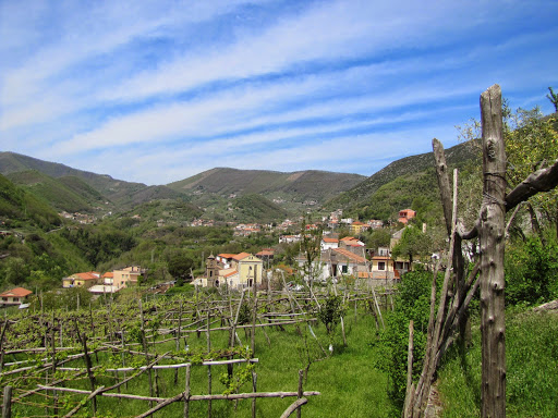 Tramontidamare - Rural Holiday Home