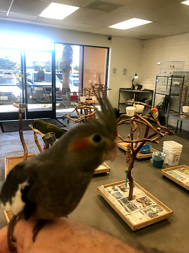 BirdSmart - Visual
