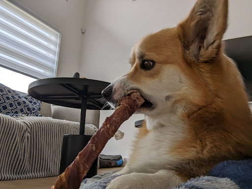 Finfido - Thumbnail