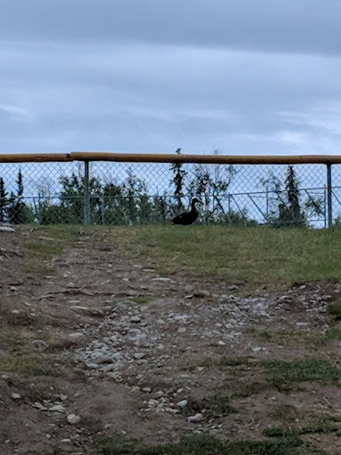 Alcantra Disc Golf Course