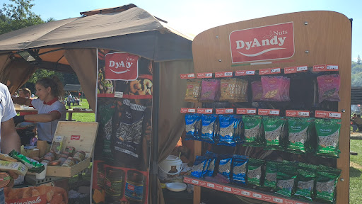 DyAndy Nuts - Visual