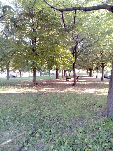 Parco Abruzzo - Visual