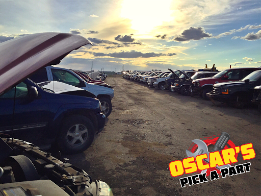 Oscar's Pick A Part - Visual