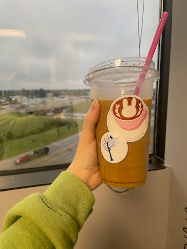 Misty Brew - Visual