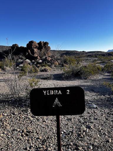 Yedra 2 - Visual