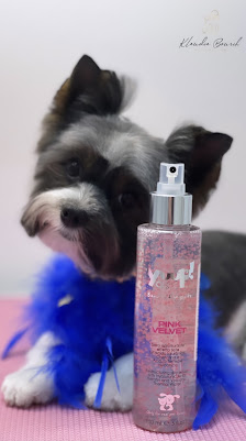 Bild: Klaudia Bourih - Doggroomer Hundefriseur Vom Inhaber