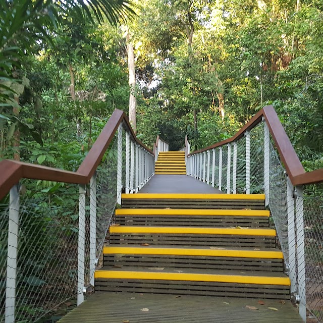 TreeTop Walk