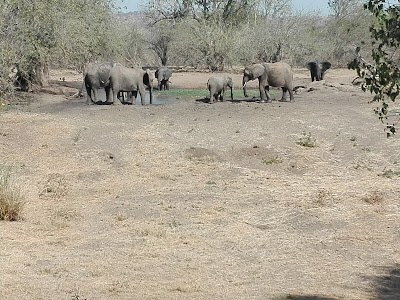 Photos of Mashatu Game Reserve