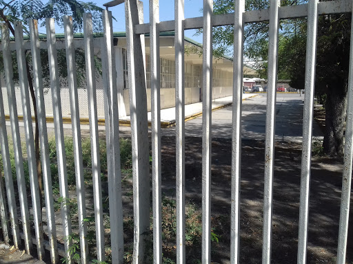 Escuela Primaria Profesor Oziel Hinojosa García Anexa a La Normal