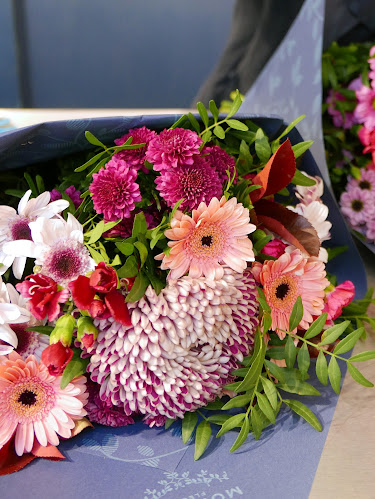Commentaires et avis sur Monceau Fleurs