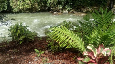 Photos of Centenario Park
